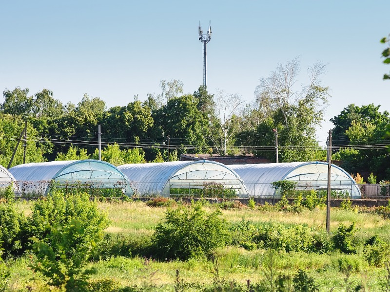 Kertészeti üvegházakhoz, hűtőházakhoz kapcsolódó fejlesztések